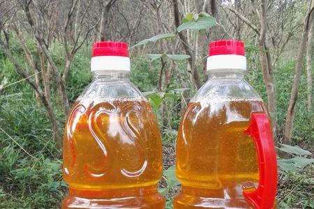 优选油和精炼油哪个好
