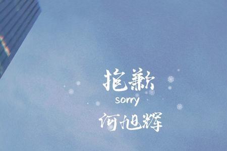 真抱歉的意思是什么