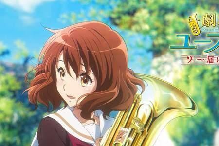上低音号好学吗