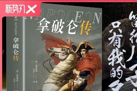 拿破仑是什么类型的书