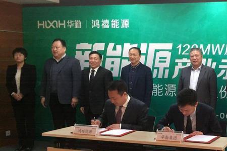 牛腾为什么叫牛飞