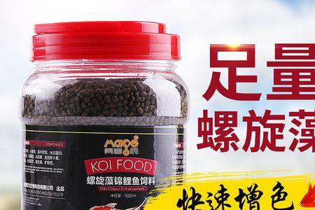 螺旋藻喂金鱼的正确方法