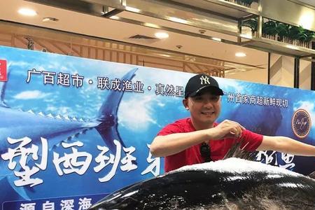 800斤蓝鳍金枪鱼值多少