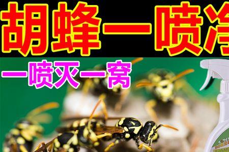 灭害灵杀虎头蜂吗