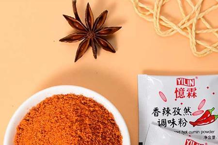 天方调料包能当烧烤料吗