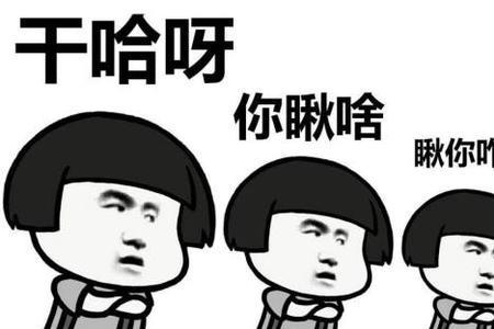 东北大客是什么意思