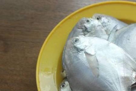 清洗花鲳鱼的正确方法