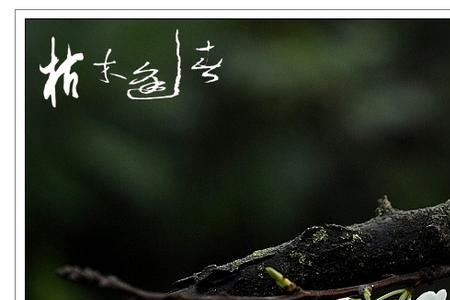 枯木又逢春的意思