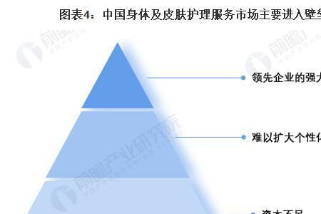 康复护理市场分析