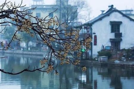 烟雨若江南是什么歌