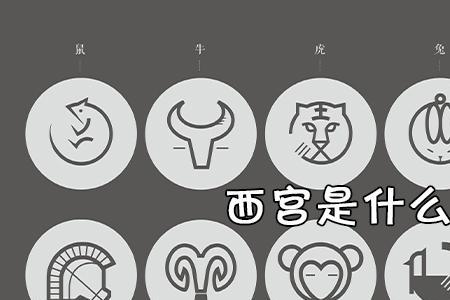燕山月似钩代表什么生肖