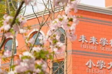 金锣小学怎么样