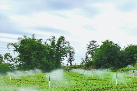 水在农业中的用途