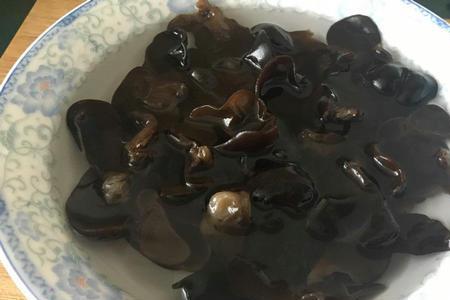 洗好的野生菌可以放冰箱过夜吗