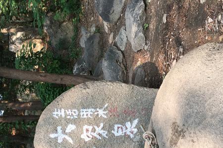 泰山大街海拔多少米