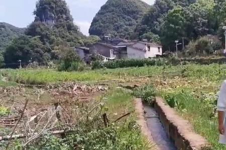 云南山歌和广西山歌哪里唱得好