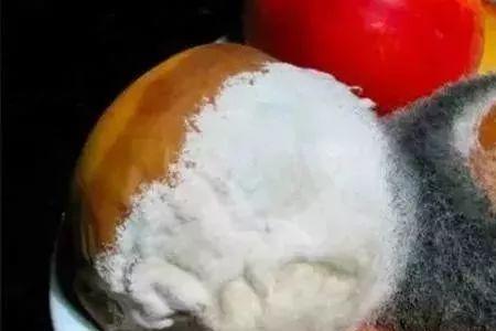 酥油发霉了能吃吗