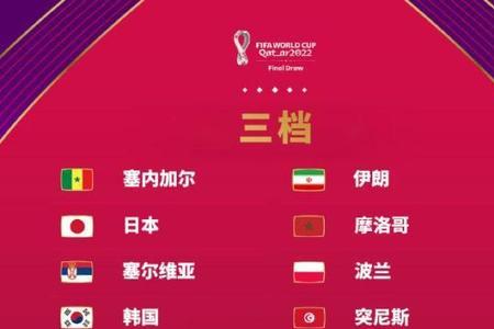 2022卡塔尔世界杯俄罗斯阵容