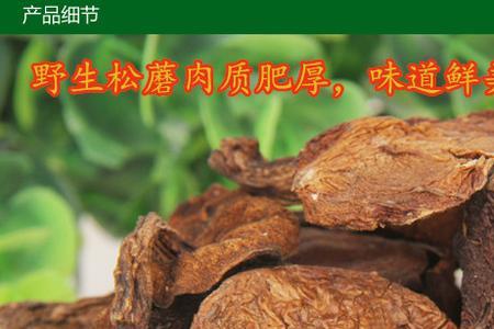 松蛾和松蘑的区别