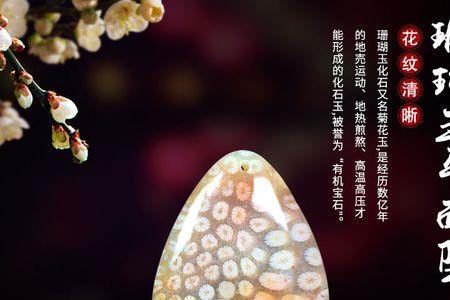 珊瑚玉怎么看花