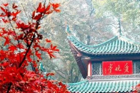 2022岳麓山枫叶最佳观赏时间