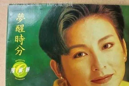 陈淑桦唱功夫如何