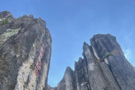 丽江大玉龙含什么