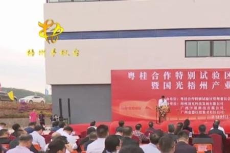 梧州国光电器集团是500强吗