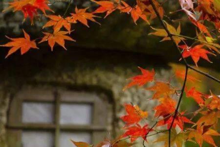 岁月从容时光安暖什么意思