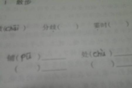 雅的多音字
