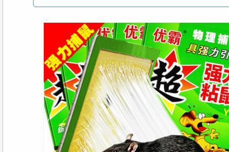 粘鼠胶有用吗