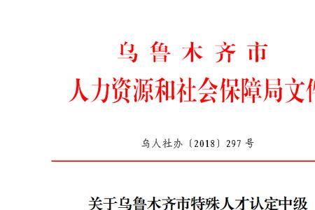 北京规定的特殊人才是指什么