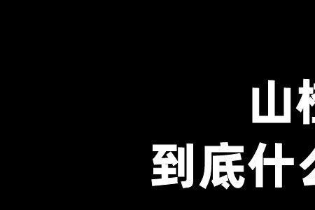 张开朗怎么火起来的