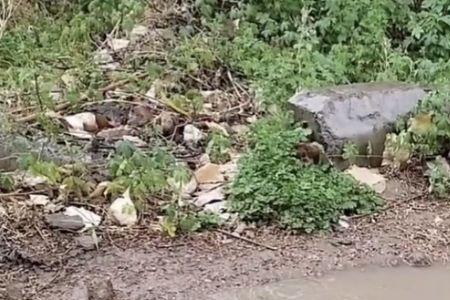 下雨了不用浇地是什么意思