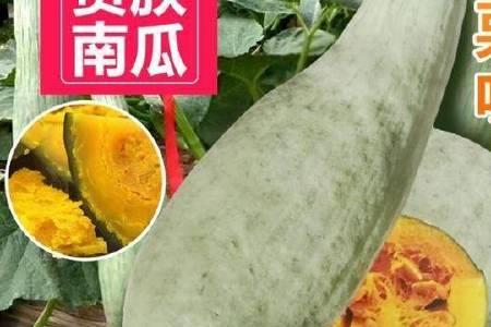 栗瓜的做法大全