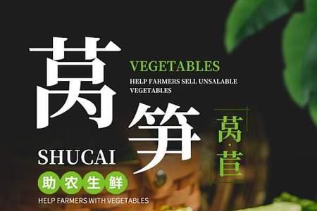 青笋和生笋一样吗