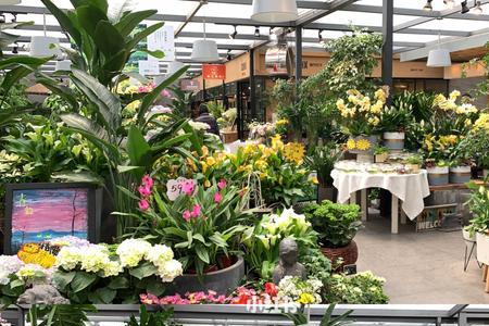 长沙青山花卉市场营业时间