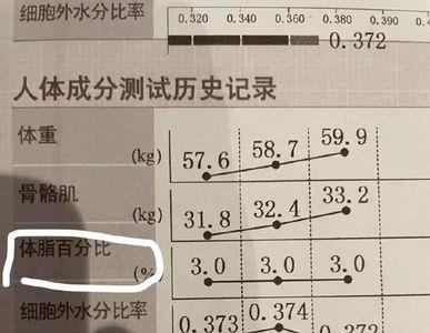 百分之零的体脂率什么概念