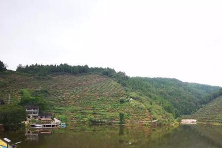 白云区七彩湖公园可以钓鱼吗