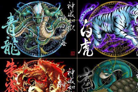 青龙高万丈什么意思