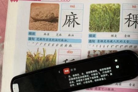 辅助读词器使用方法