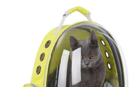 猫猫太空包透明罩怎么取下