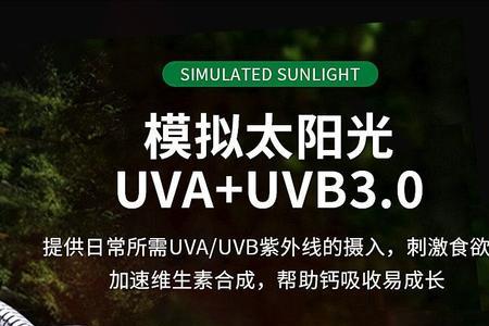 乌龟保温是加温棒好还是晒灯好