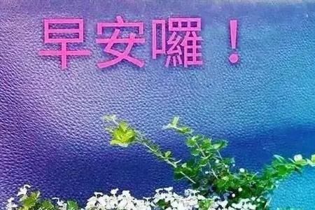 笑口常开近义词祝福