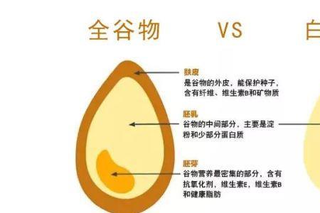 谷类指的是什么