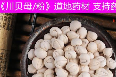 山东可以种平贝吗