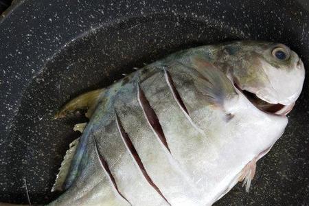 金鲳鱼和红鲳鱼一样吗