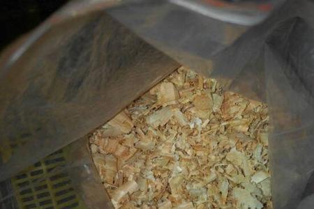牡丹鹦鹉下蛋必须垫木屑吗