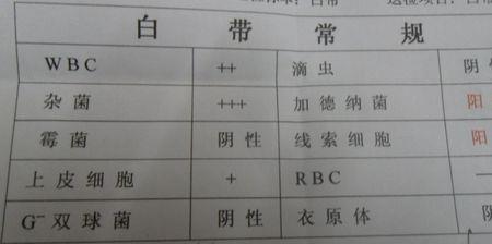 线索细胞一个减号什么意思