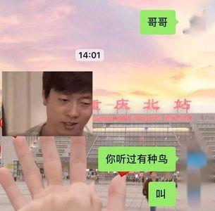 你的宝贝突然出现要怎么回答